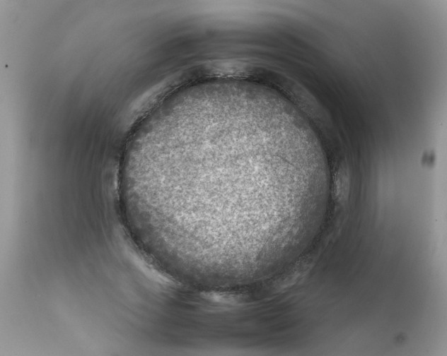 X0000111900733200908171238