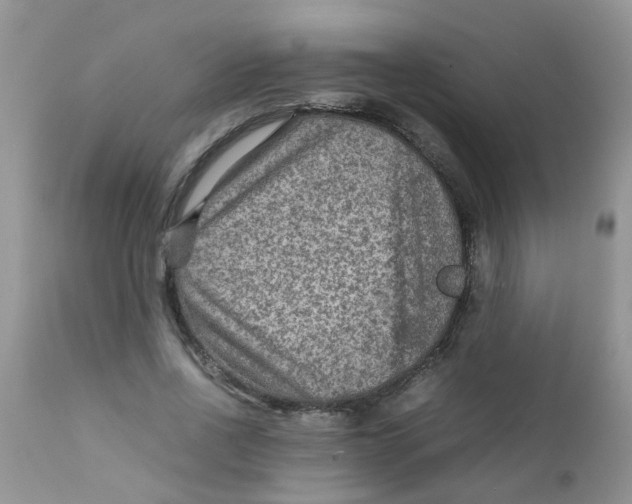 X0000111900734200908171238