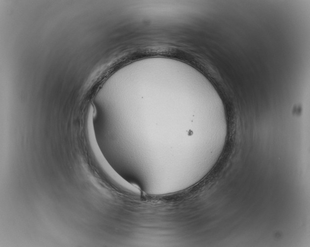 X0000111900736200908171238