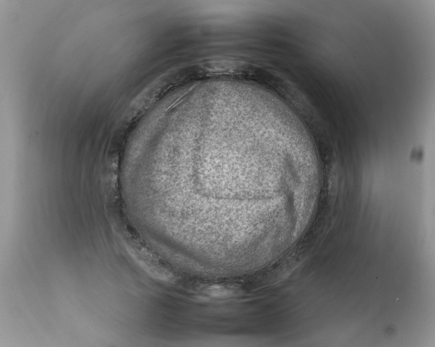 X0000111900737200908171238