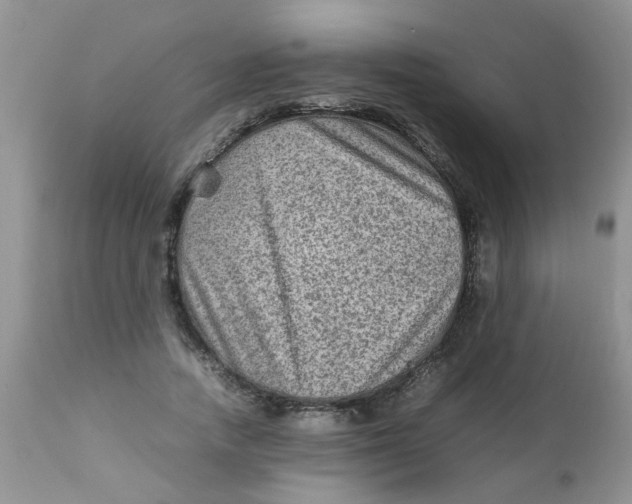 X0000111900738200908171238