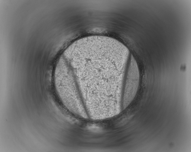 X0000111900739200908171238