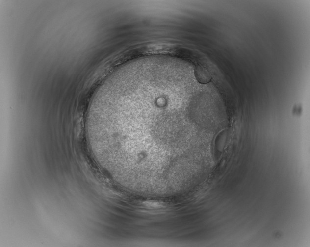 X0000111900741200908171238