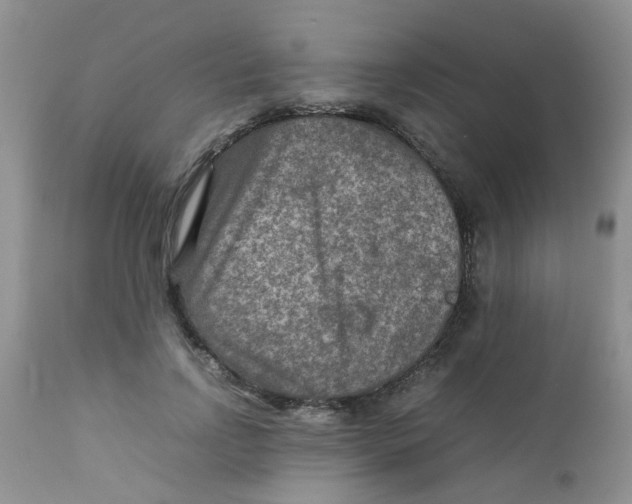 X0000111900742200908171238