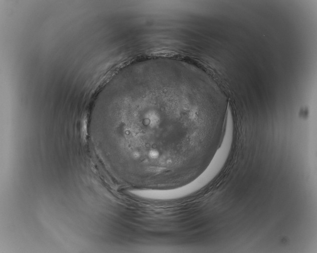 X0000111900745200908171238