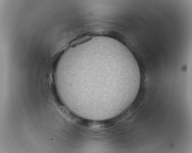 X0000111900746200908171238