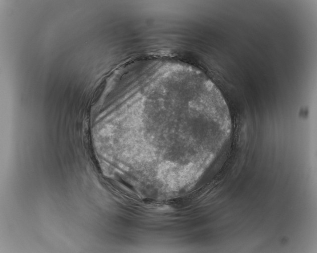 X0000111900747200908171238