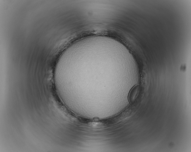 X0000111900748200908171238