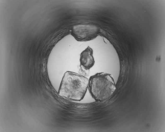 X0000111900749200908171238