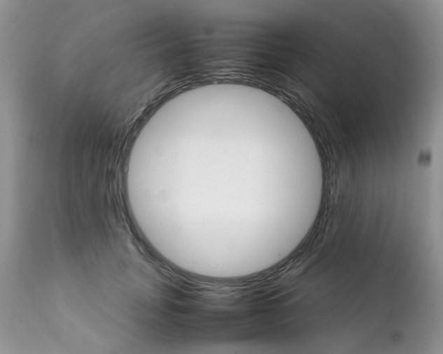 X0000111900751200908171238