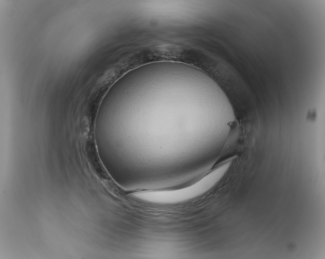 X0000111900752200908171238