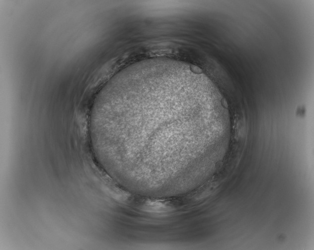 X0000111900753200908171238