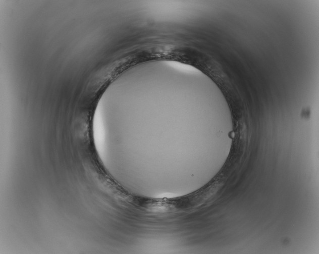 X0000111900754200908171238