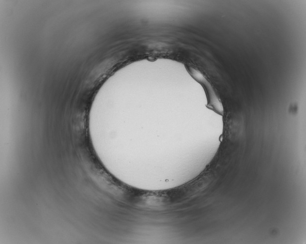 X0000111900756200908171238