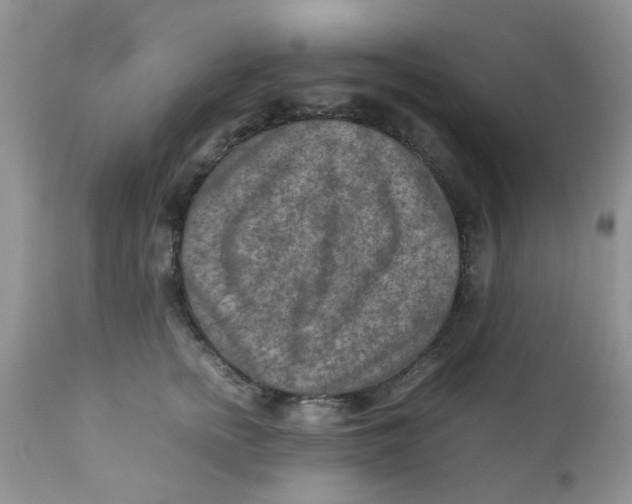 X0000111900758200908171238