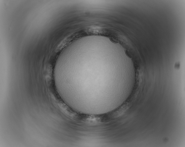 X0000111900760200908171238