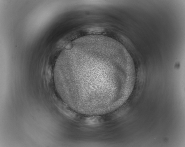 X0000111900761200908171238