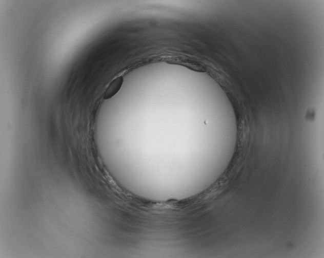 X0000111900762200908171238