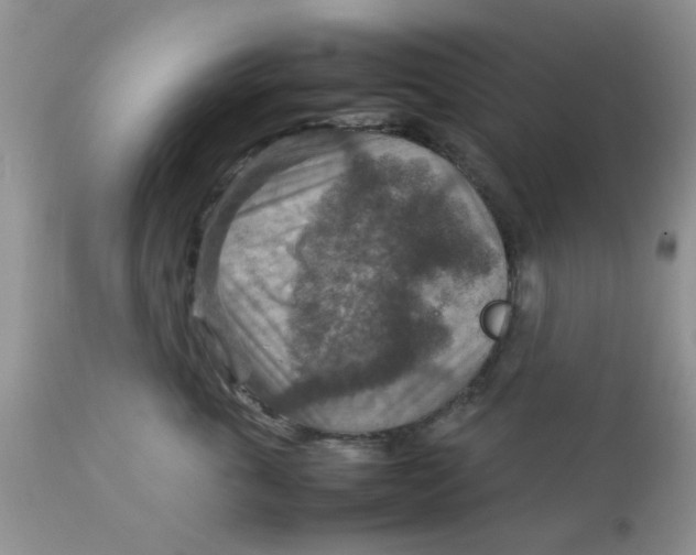 X0000111900763200908171238