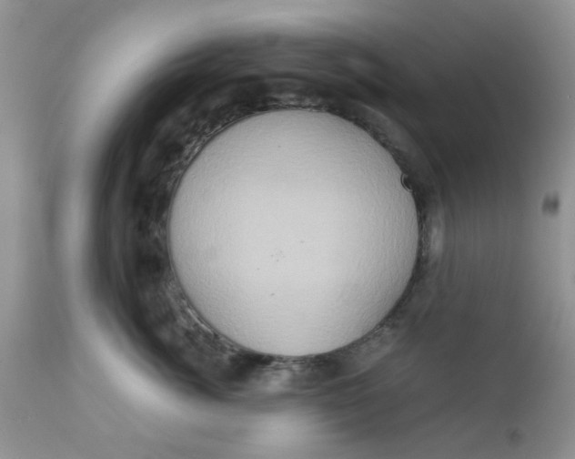 X0000111900764200908171238