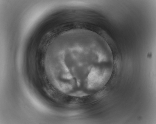 X0000111900765200908171238