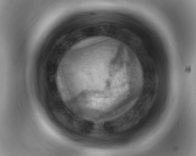 X0000111900766200908171238