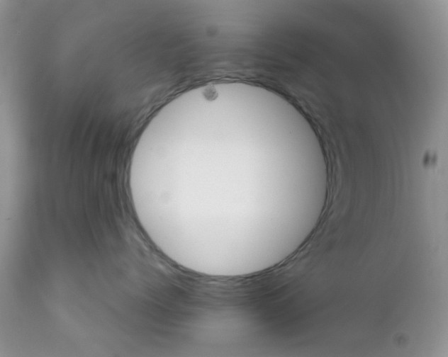 X0000111900768200908171238