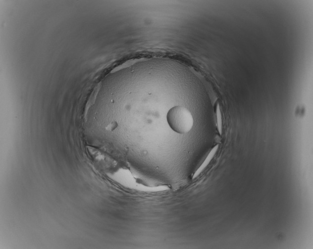 X0000111900769200908171238