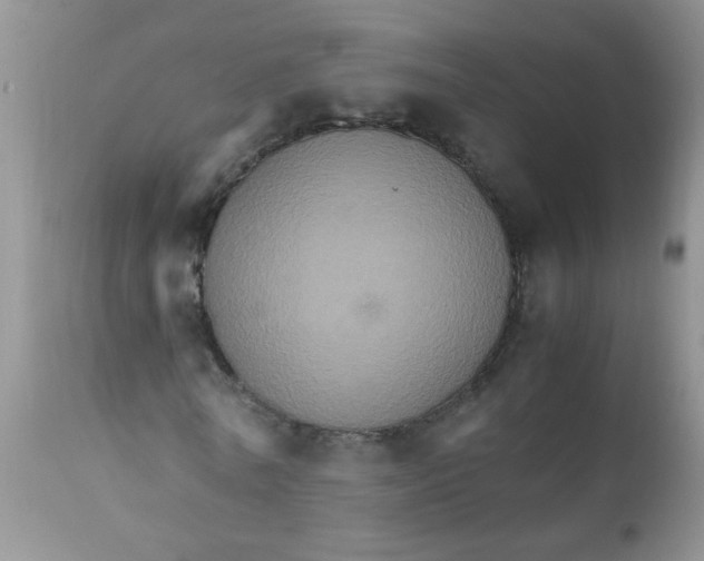 X0000111900770200908171238