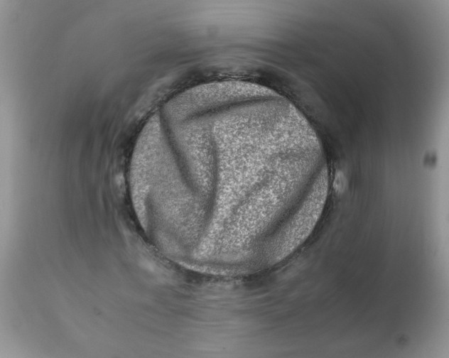 X0000111900771200908171238