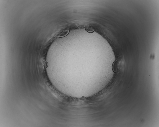 X0000111900772200908171238