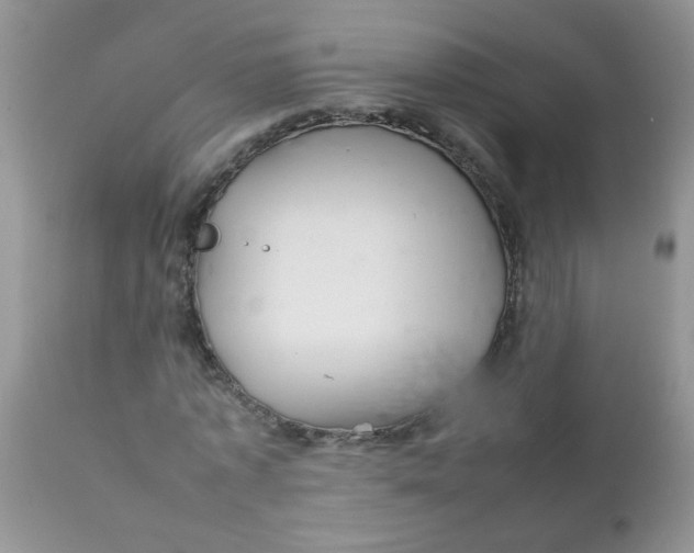 X0000111900773200908171238