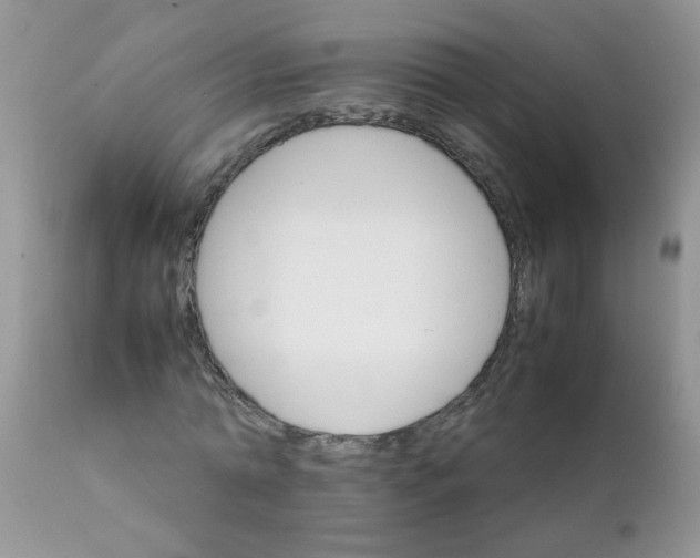 X0000111900774200908171238