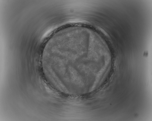 X0000111900775200908171238