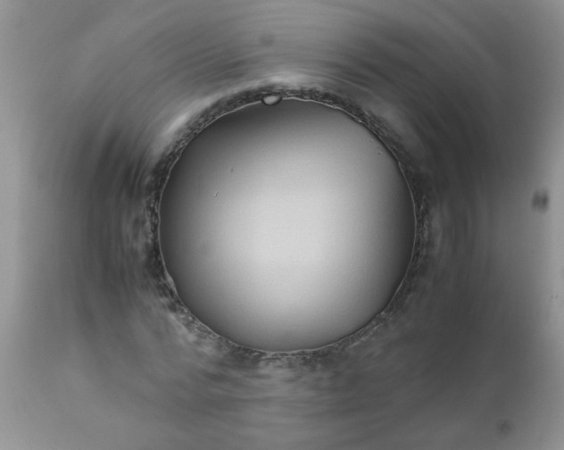 X0000111900776200908171238