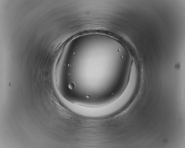 X0000111900777200908171238