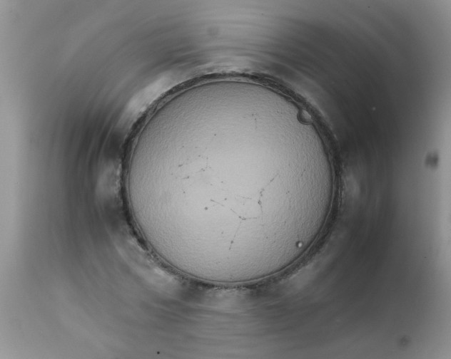 X0000111900778200908171238