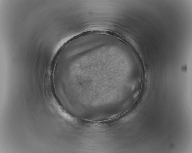 X0000111900779200908171238