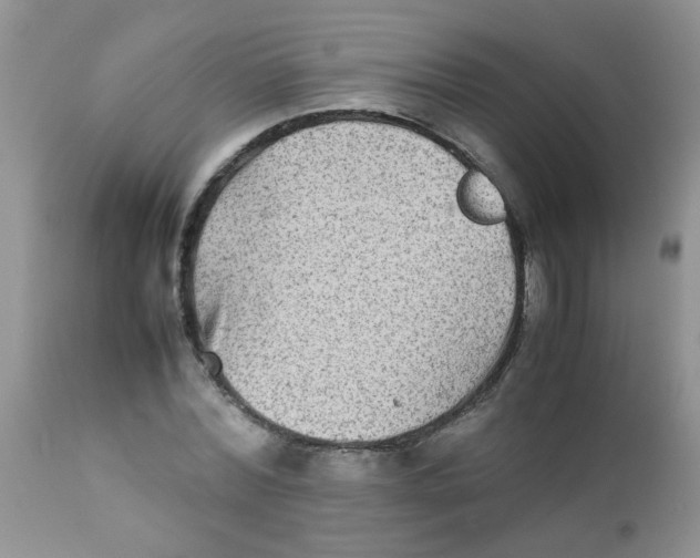 X0000111900780200908171238