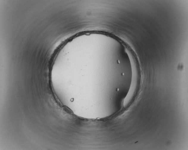 X0000111900781200908171238