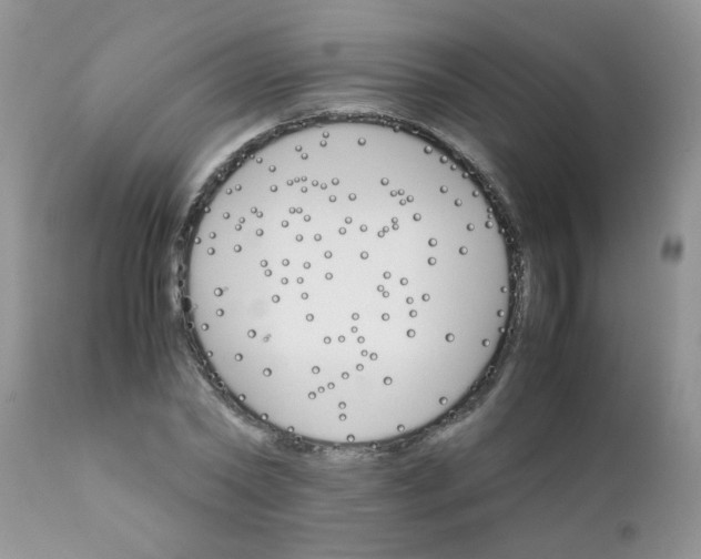 X0000111900782200908171238