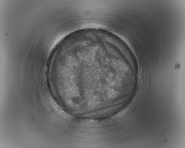 X0000111900783200908171238