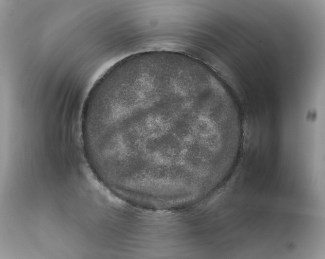 X0000111900784200908171238