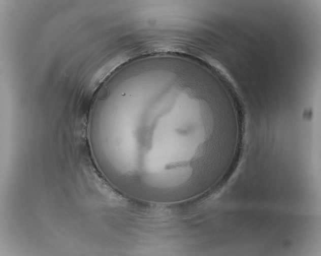 X0000111900785200908171238