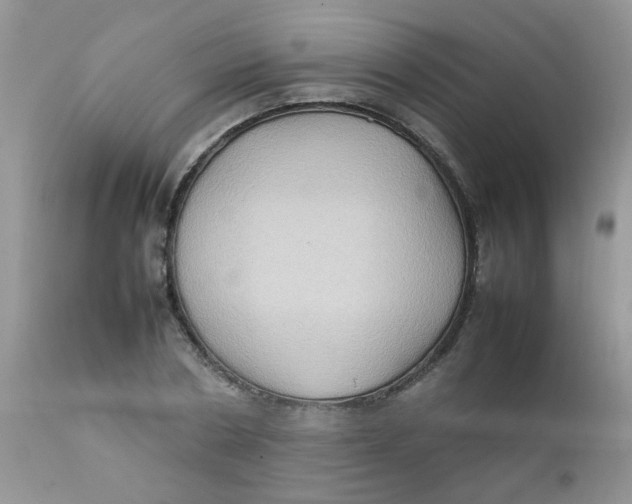 X0000111900786200908171238