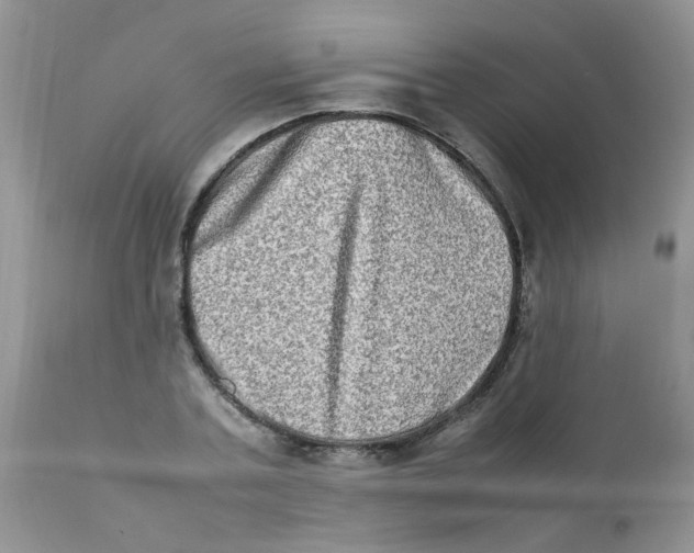 X0000111900787200908171238