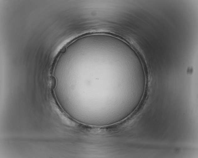 X0000111900789200908171238