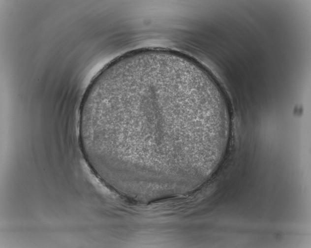 X0000111900791200908171238