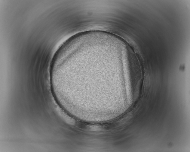 X0000111900792200908171237