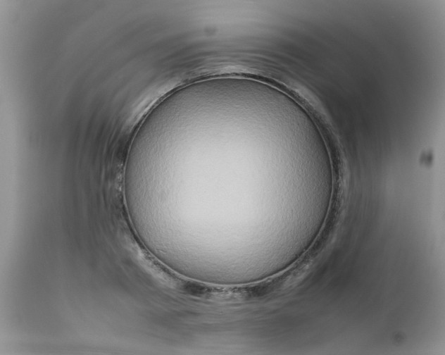 X0000111900793200908171237